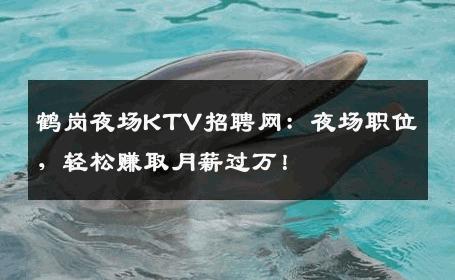 鹤岗夜场KTV招聘网：夜场职位，轻松赚取月薪过万！