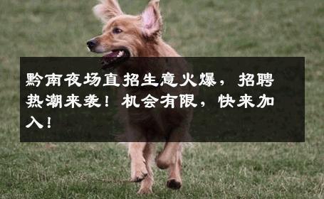 黔南夜场直招生意火爆，招聘热潮来袭！机会有限，快来加入！