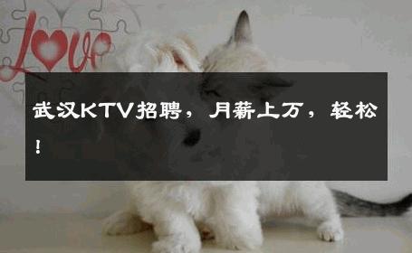 武汉KTV招聘，月薪上万，轻松！