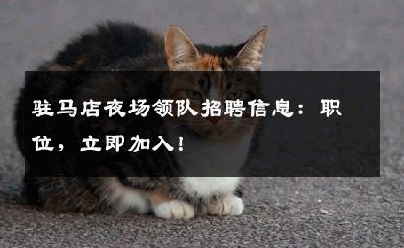 驻马店夜场领队招聘信息：职位，立即加入！