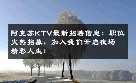 阿克苏KTV最新招聘信息：职位火热招募，加入我们开启夜场精彩人生！
