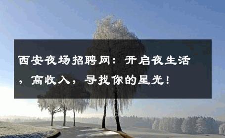 西安夜场招聘网：开启夜生活，高收入，寻找你的星光！