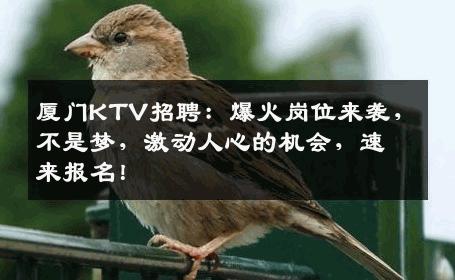 厦门KTV招聘：爆火岗位来袭，不是梦，激动人心的机会，速来报名！