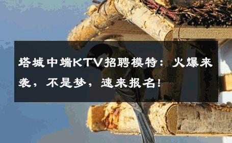塔城中端KTV招聘模特：火爆来袭，不是梦，速来报名！