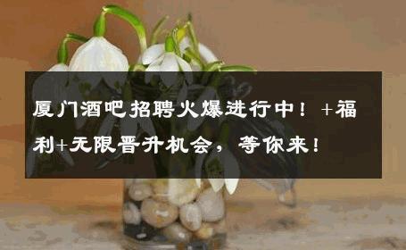 厦门酒吧招聘火爆进行中！+福利+无限晋升机会，等你来！