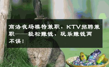 商洛夜场模特兼职，KTV招聘兼职——轻松赚钱，玩乐赚钱两不误！