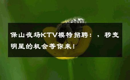 保山夜场KTV模特招聘：，秒变明星的机会等你来！