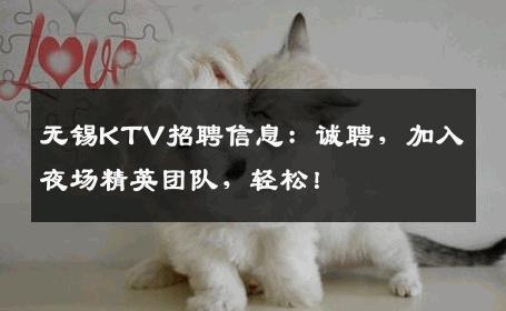 无锡KTV招聘信息：诚聘，加入夜场精英团队，轻松！