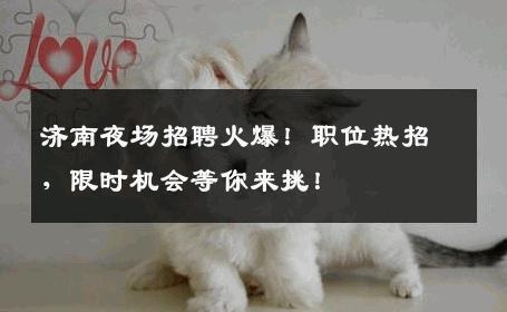 济南夜场招聘火爆！职位热招，限时机会等你来挑！