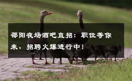 邵阳夜场酒吧直招：职位等你来，招聘火爆进行中！