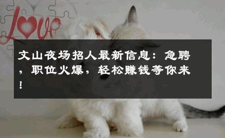文山夜场招人最新信息：急聘，职位火爆，轻松赚钱等你来！
