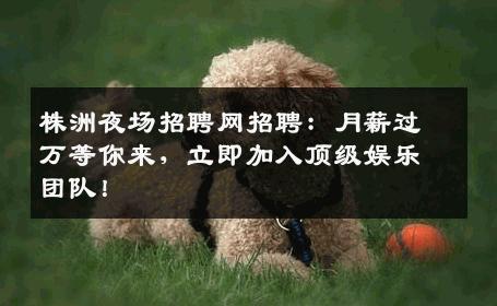 株洲夜场招聘网招聘：月薪过万等你来，立即加入顶级娱乐团队！