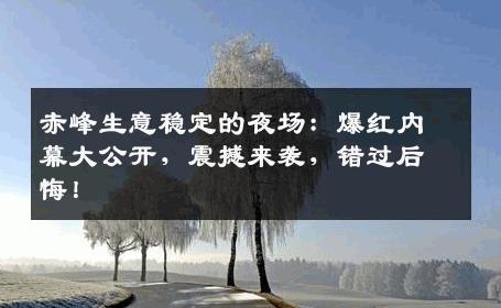 赤峰生意稳定的夜场：爆红内幕大公开，震撼来袭，错过后悔！