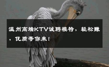温州高端KTV诚聘模特，轻松赚，优质等你来！