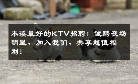本溪最好的KTV招聘：诚聘夜场明星，加入我们，共享超值福利！