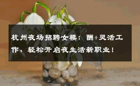 杭州夜场招聘女模：酬+灵活工作，轻松开启夜生活新职业！