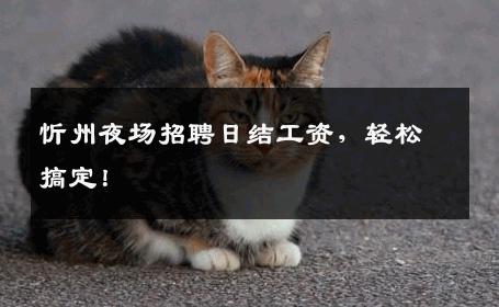 忻州夜场招聘日结工资，轻松搞定！