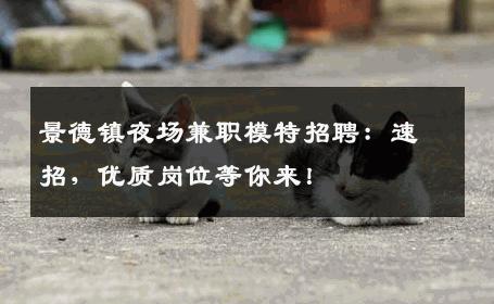景德镇夜场兼职模特招聘：速招，优质岗位等你来！