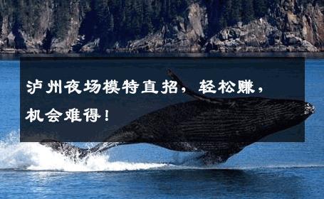 泸州夜场模特直招，轻松赚，机会难得！