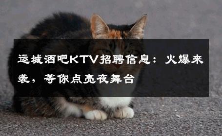 运城酒吧KTV招聘信息：火爆来袭，等你点亮夜舞台