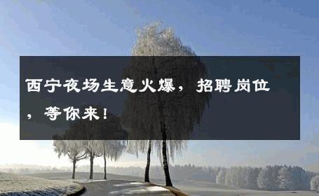 西宁夜场生意火爆，招聘岗位，等你来！