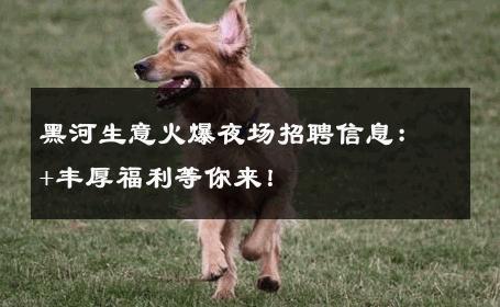黑河生意火爆夜场招聘信息：+丰厚福利等你来！