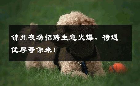锦州夜场招聘生意火爆，待遇优厚等你来！