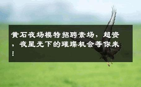 黄石夜场模特招聘素场，超资，夜星光下的璀璨机会等你来！