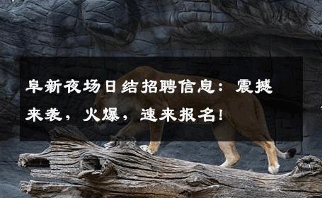 阜新夜场日结招聘信息：震撼来袭，火爆，速来报名！