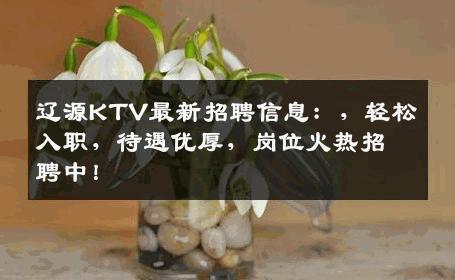 辽源KTV最新招聘信息：，轻松入职，待遇优厚，岗位火热招聘中！