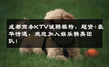 成都商务KTV诚聘模特，超资+豪华待遇，欢迎加入娱乐精英团队！