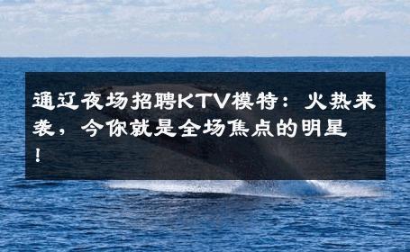 通辽夜场招聘KTV模特：火热来袭，今你就是全场焦点的明星！