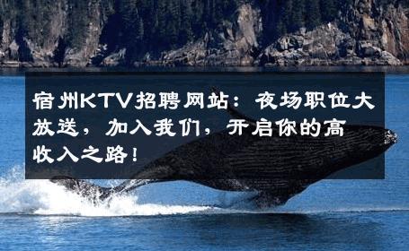 宿州KTV招聘网站：夜场职位大放送，加入我们，开启你的高收入之路！