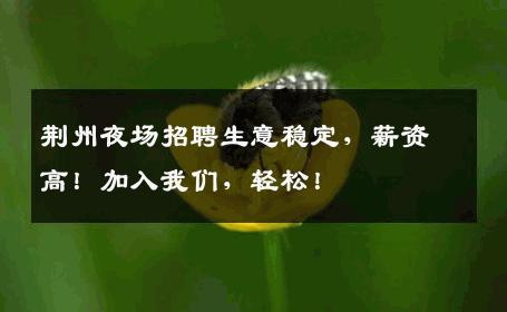 荆州夜场招聘生意稳定，薪资高！加入我们，轻松！
