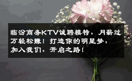 临汾商务KTV诚聘模特，月薪过万轻松赚！打造你的明星梦，加入我们，开启之路！