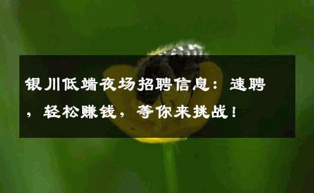 银川低端夜场招聘信息：速聘，轻松赚钱，等你来挑战！
