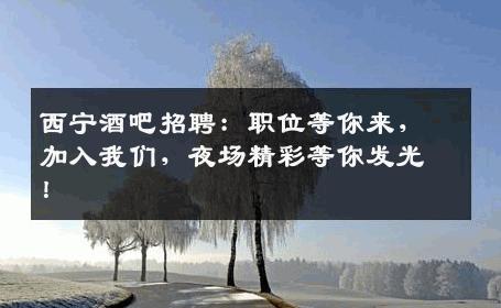 西宁酒吧招聘：职位等你来，加入我们，夜场精彩等你发光！