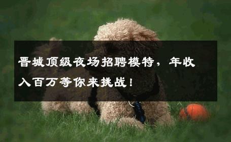 晋城顶级夜场招聘模特，年收入百万等你来挑战！