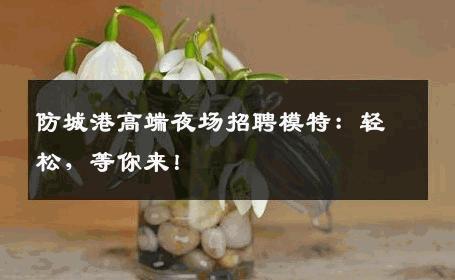 防城港高端夜场招聘模特：轻松，等你来！