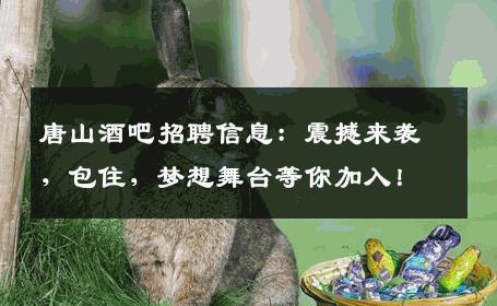 唐山酒吧招聘信息：震撼来袭，包住，梦想舞台等你加入！