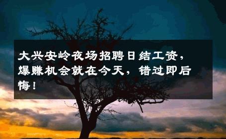 大兴安岭夜场招聘日结工资，爆赚机会就在今天，错过即后悔！
