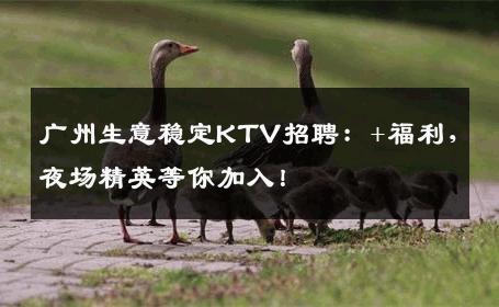 广州生意稳定KTV招聘：+福利，夜场精英等你加入！