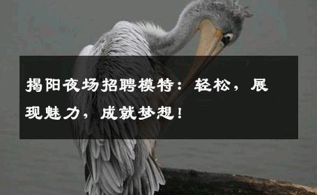揭阳夜场招聘模特：轻松，展现魅力，成就梦想！