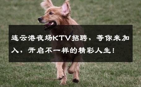 连云港夜场KTV招聘，等你来加入，开启不一样的精彩人生！