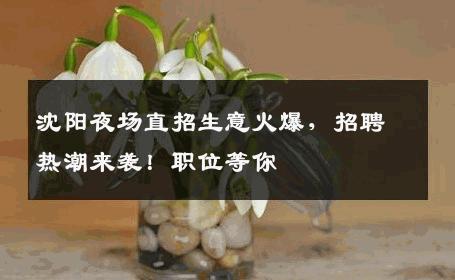 沈阳夜场直招生意火爆，招聘热潮来袭！职位等你
