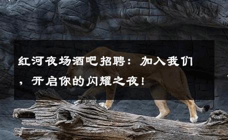 红河夜场酒吧招聘：加入我们，开启你的闪耀之夜！