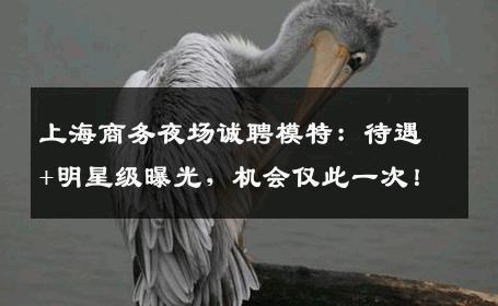 上海商务夜场诚聘模特：待遇+明星级曝光，机会仅此一次！