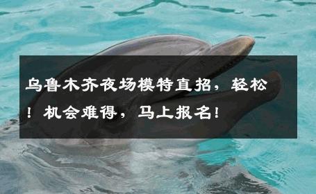 乌鲁木齐夜场模特直招，轻松！机会难得，马上报名！