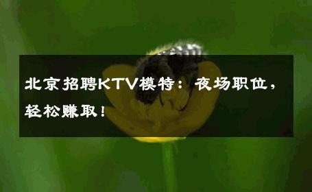 北京招聘KTV模特：夜场职位，轻松赚取！