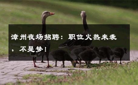 漳州夜场招聘：职位火热来袭，不是梦！